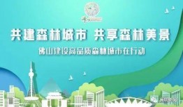佛山市三水新闻爆料热线,见证城市脉搏，倾听民声心声
