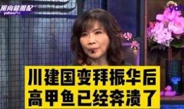 董哥直播爆料事件视频,事件背后惊人真相曝光